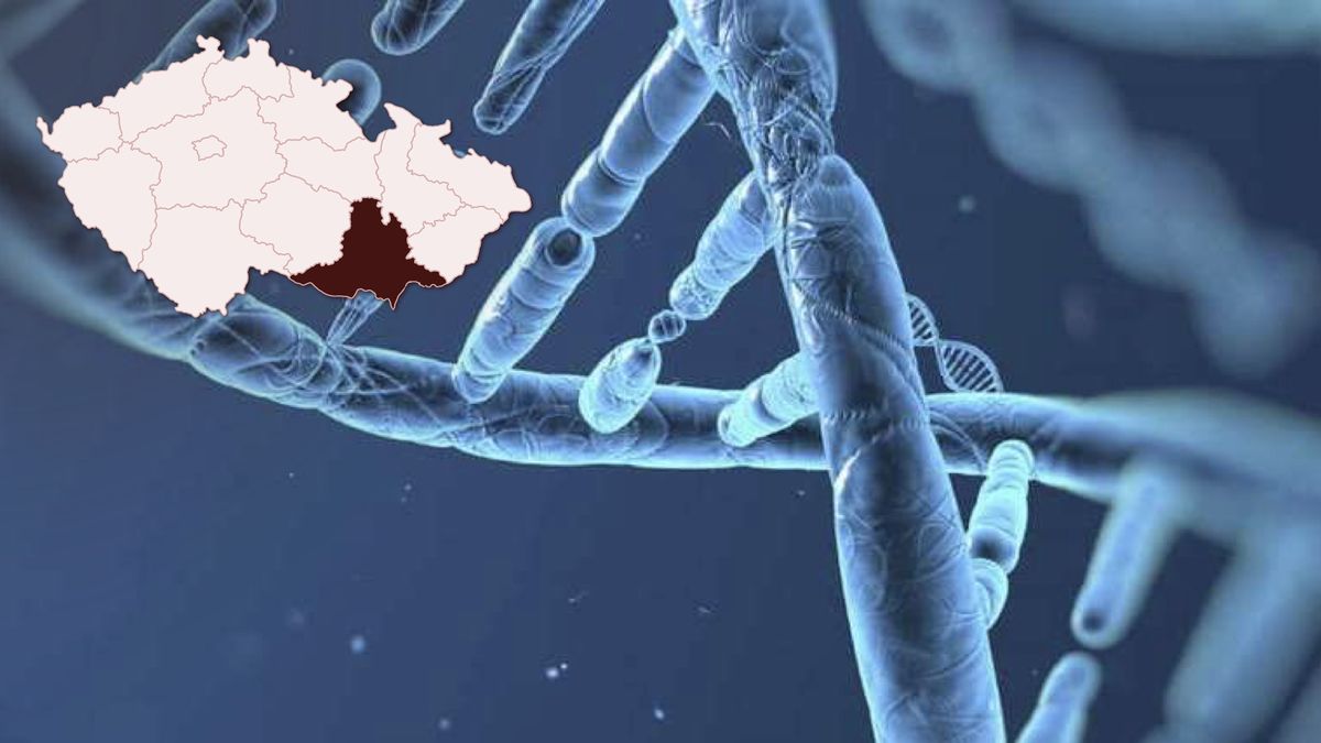 Brněnské vědkyně objevily mutace naznačující účinnost genové terapie